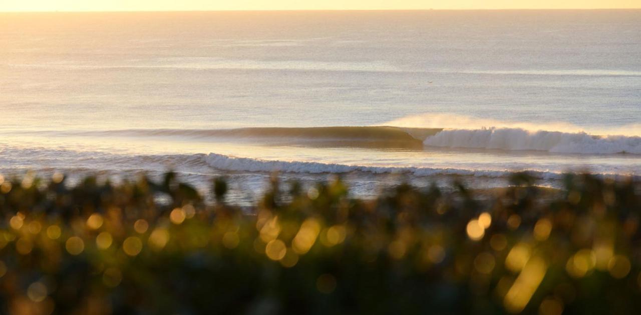 فندق The Spot Surfcamp بيسكاروس المظهر الخارجي الصورة
